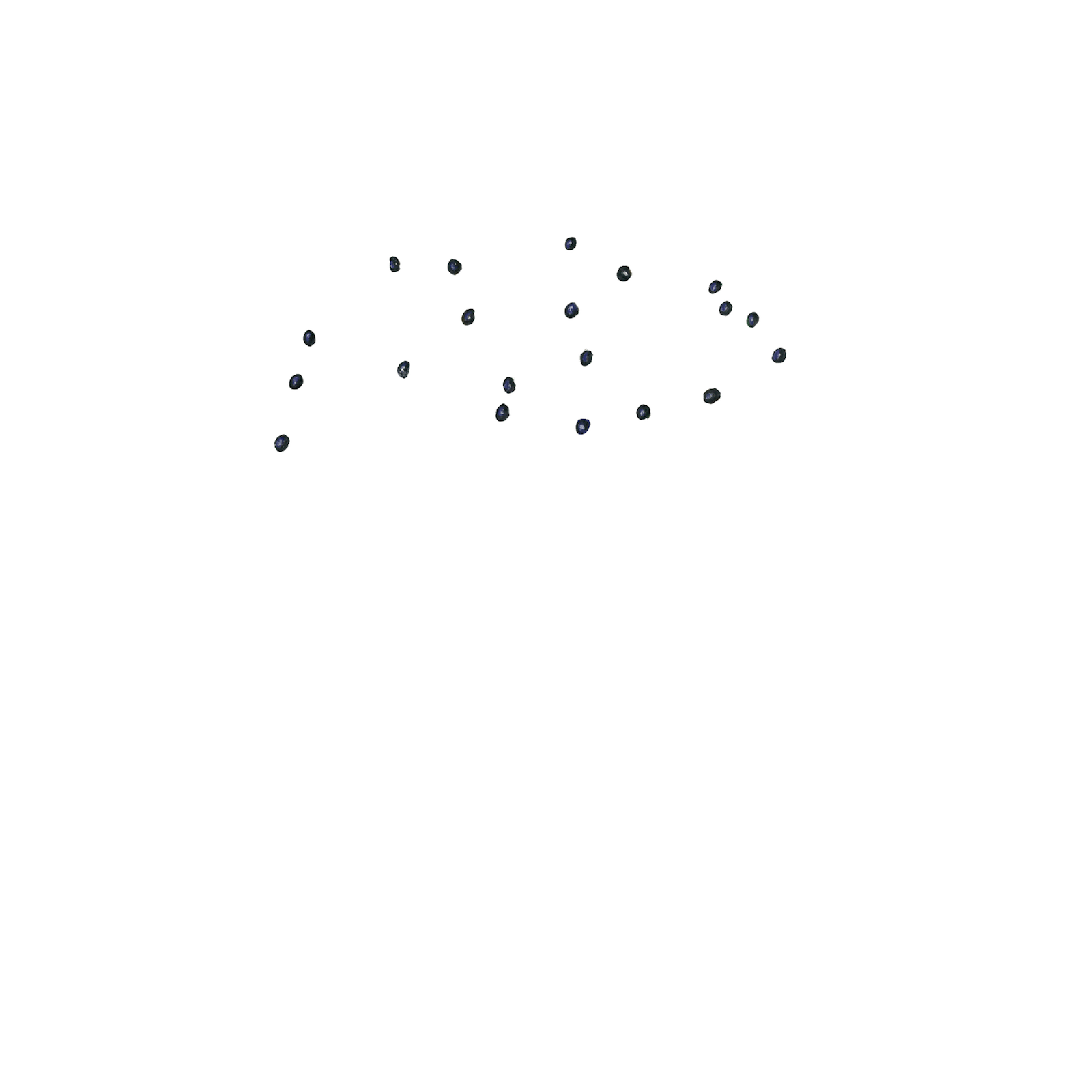 animation