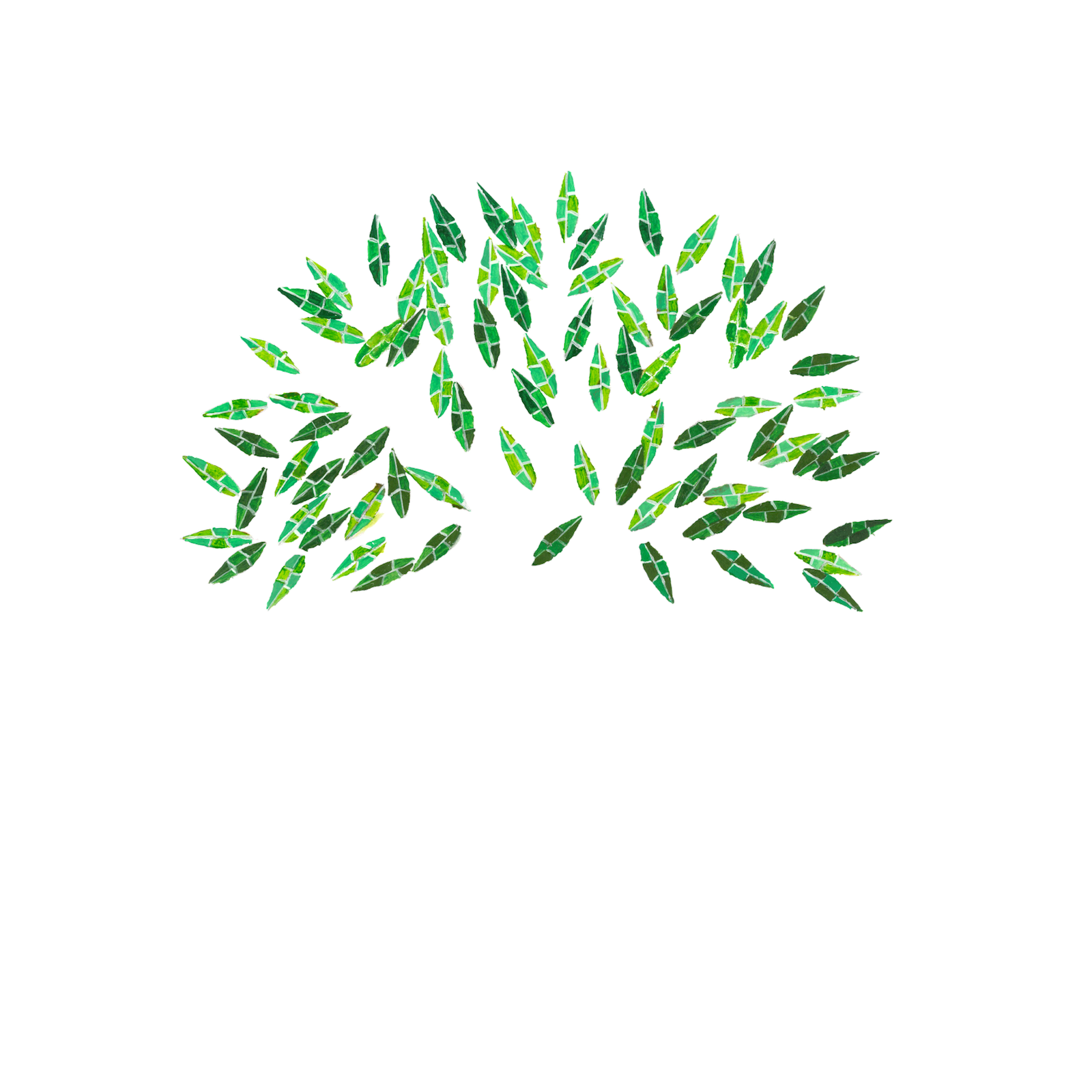animation